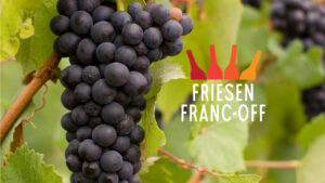Friesen Franc Off wine tasting